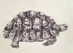 Andrea Whitin, "Tortoise", Ink on Paper